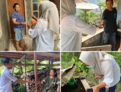 Cegah DBD Sejak Dini, Puskesmas Sinoa Lakukan Survei Vektor dan Larvasidasi di Desa Bonto Bulaeng