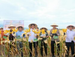 Bupati Bantaeng Dorong Kemandirian Benih Melalui Panen Perdana