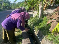 Gerak Cepat Bantaeng Bangkit, Puskesmas Bissappu Edukasi Warga Cegah DBD