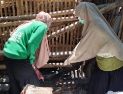 Bangkit Lawan DBD, Puskesmas Lasepang Lakukan PJB dan Larvasidasi di Dua Lokasi