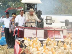 Presiden Prabowo Pimpin Panen Raya Jagung Nasional di Tuban, ini yang Ditegaskan!