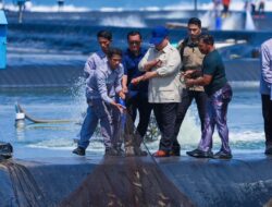 Presiden Prabowo Dorong Kebumen Jadi Sentra Udang Dunia