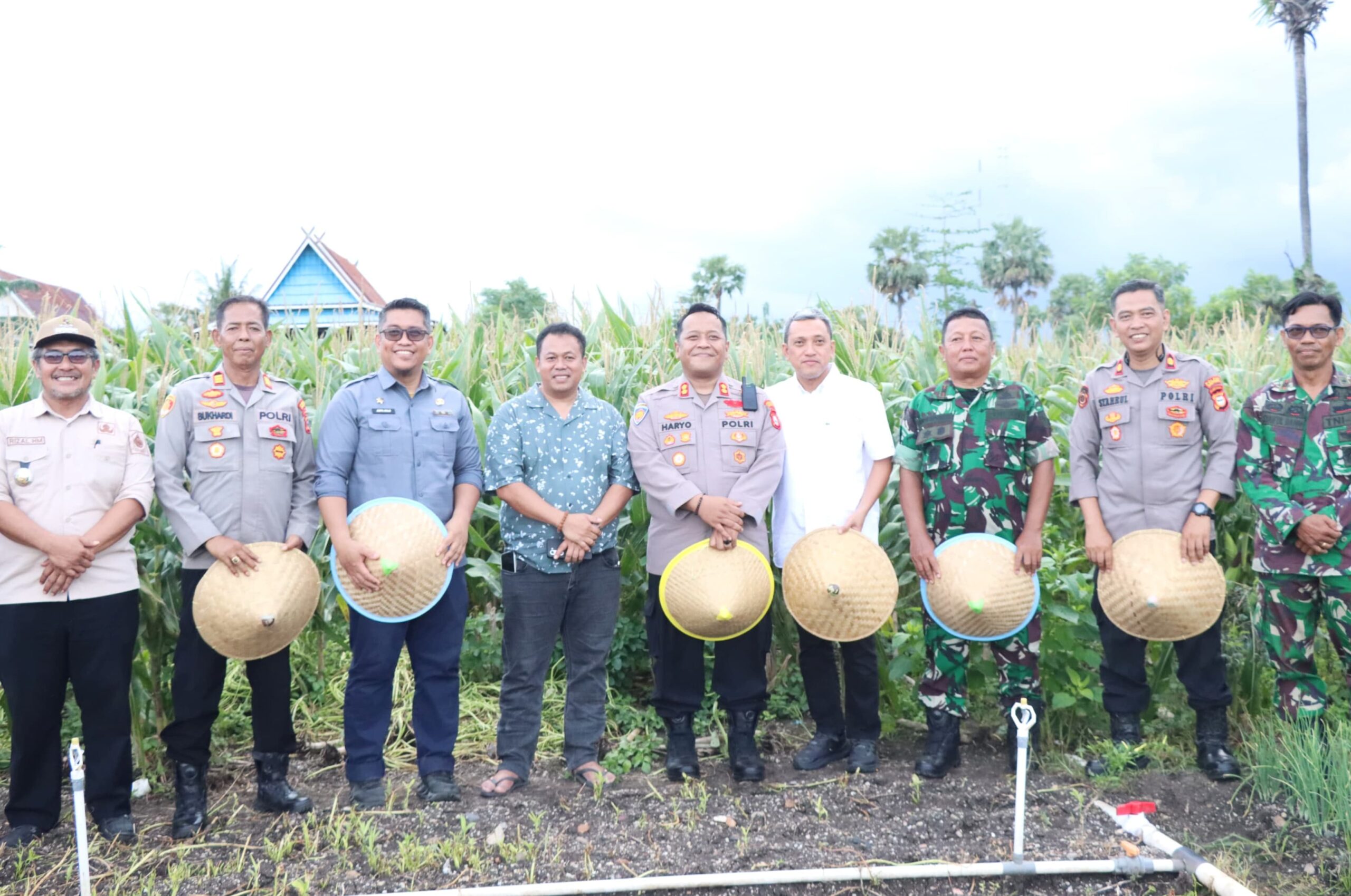 Bupati Jeneponto- Forkopimda Hadiri Panen Raya Jagung Serentak