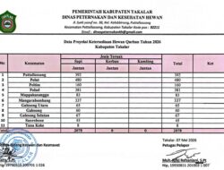 Stok Hewan Kurban Takalar 2026 Dipastikan Aman Jelang Iduladha