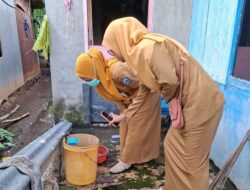 Puskesmas Ulugalung Gelar Pemantauan Jentik Berkala