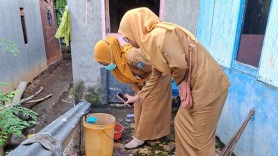 Puskesmas Ulugalung Gelar Pemantauan Jentik Berkala