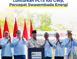 Prabowo Luncurkan PLTS 100 GWp, Target Swasembada Energi Tiga Tahun