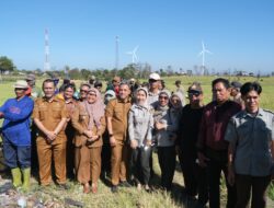 Paris Yasir Turun Sawah, Jeneponto Gerak Serentak Basmi Hama Padi