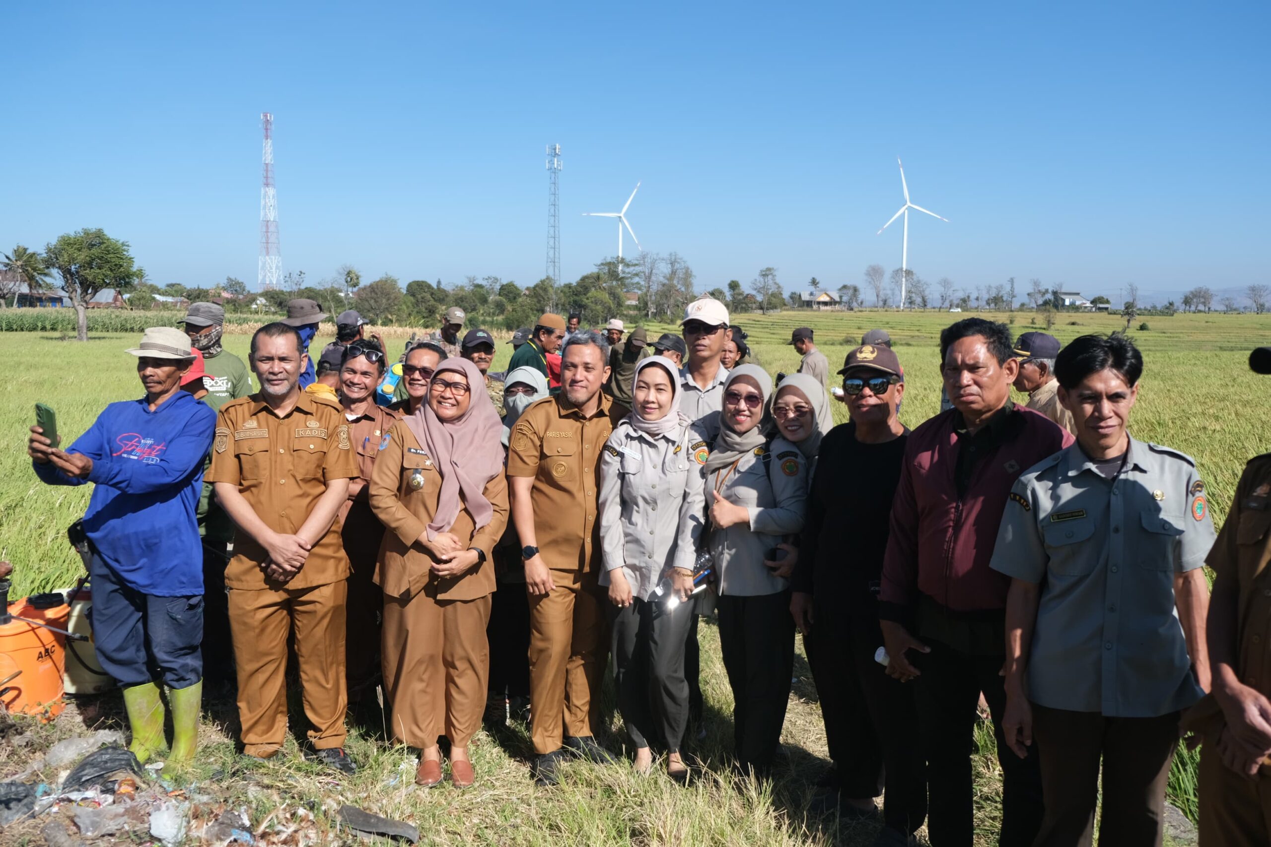 Paris Yasir Turun Sawah, Jeneponto Gerak Serentak Basmi Hama Padi