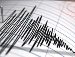 Gempa M7,7 Guncang NTT, BMKG Keluarkan Imbauan