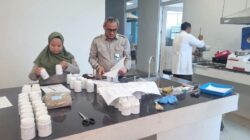 Kementan Uji Pakan Ayam Berbasis Sawit, Biaya Peternak Dibidik Turun