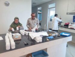 Kementan Uji Pakan Ayam Berbasis Sawit, Biaya Peternak Dibidik Turun
