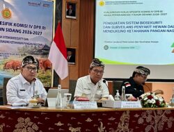 Kementan-DPR Perkuat Benteng Kesehatan Hewan, Ketahanan Pangan Jadi Taruhan