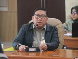 Stok Jagung Pakan Diverifikasi, Peternak Jadi Perhatian