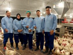 Mutu Bibit Ayam Diperkuat, Kementan Audit Produsen DOC