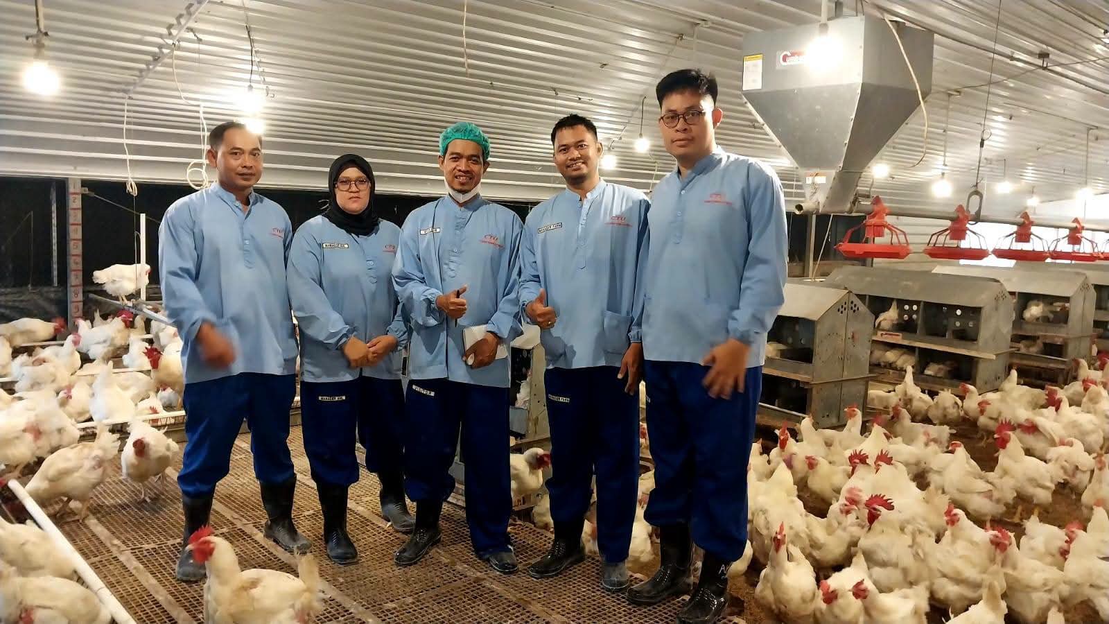 Mutu Bibit Ayam Diperkuat, Kementan Audit Produsen DOC