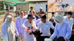 Kementan- Komisi IV Dorong Koperasi Perkuat Kemandirian Susu