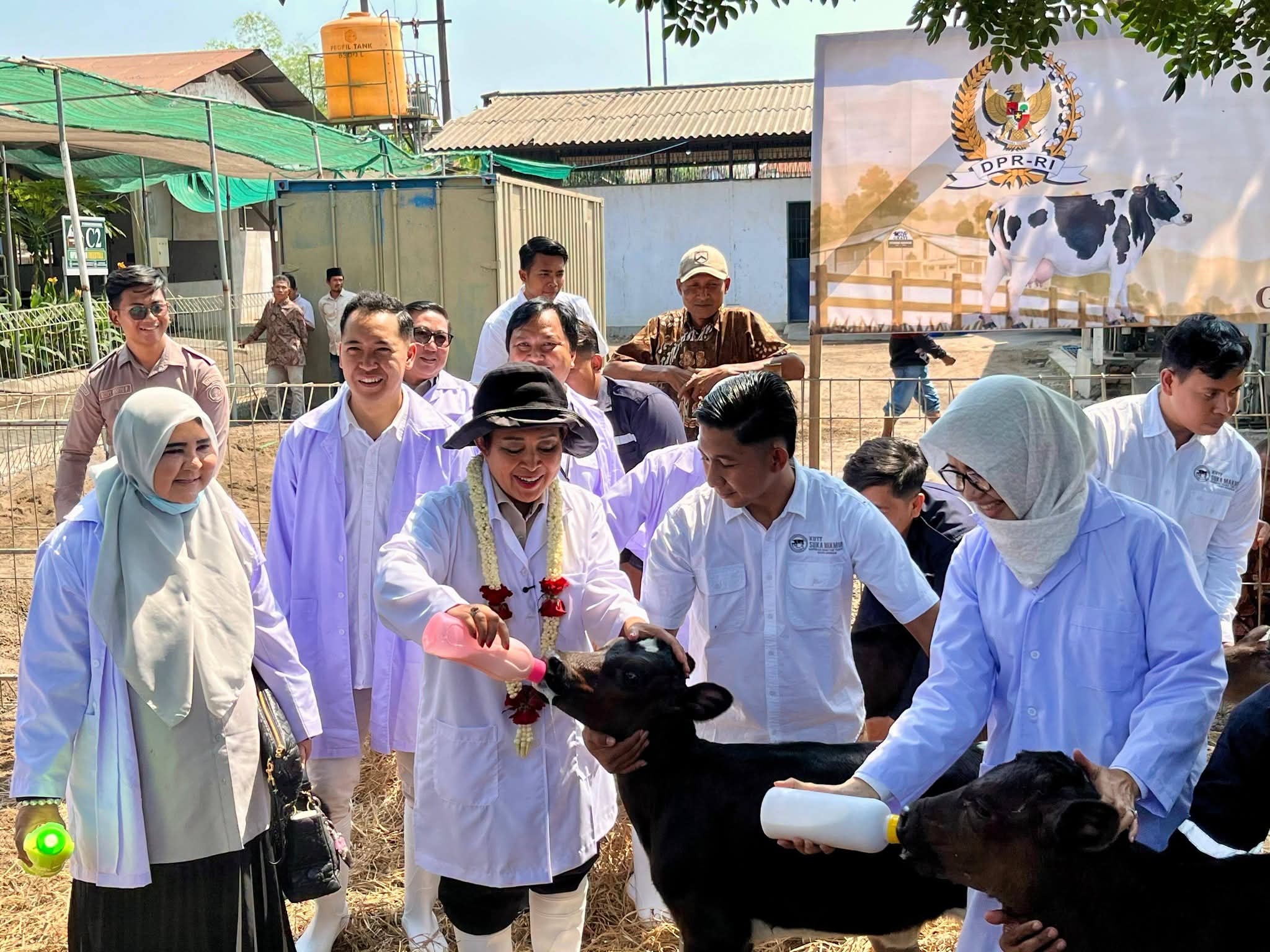Kementan- Komisi IV Dorong Koperasi Perkuat Kemandirian Susu