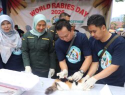 Kementan Perkuat Vaksinasi Rabies di Tanah Datar