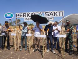 Paris Yasir Dorong Petani Jeneponto Adopsi Benih Biotek