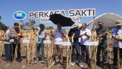 Paris Yasir Dorong Petani Jeneponto Adopsi Benih Biotek