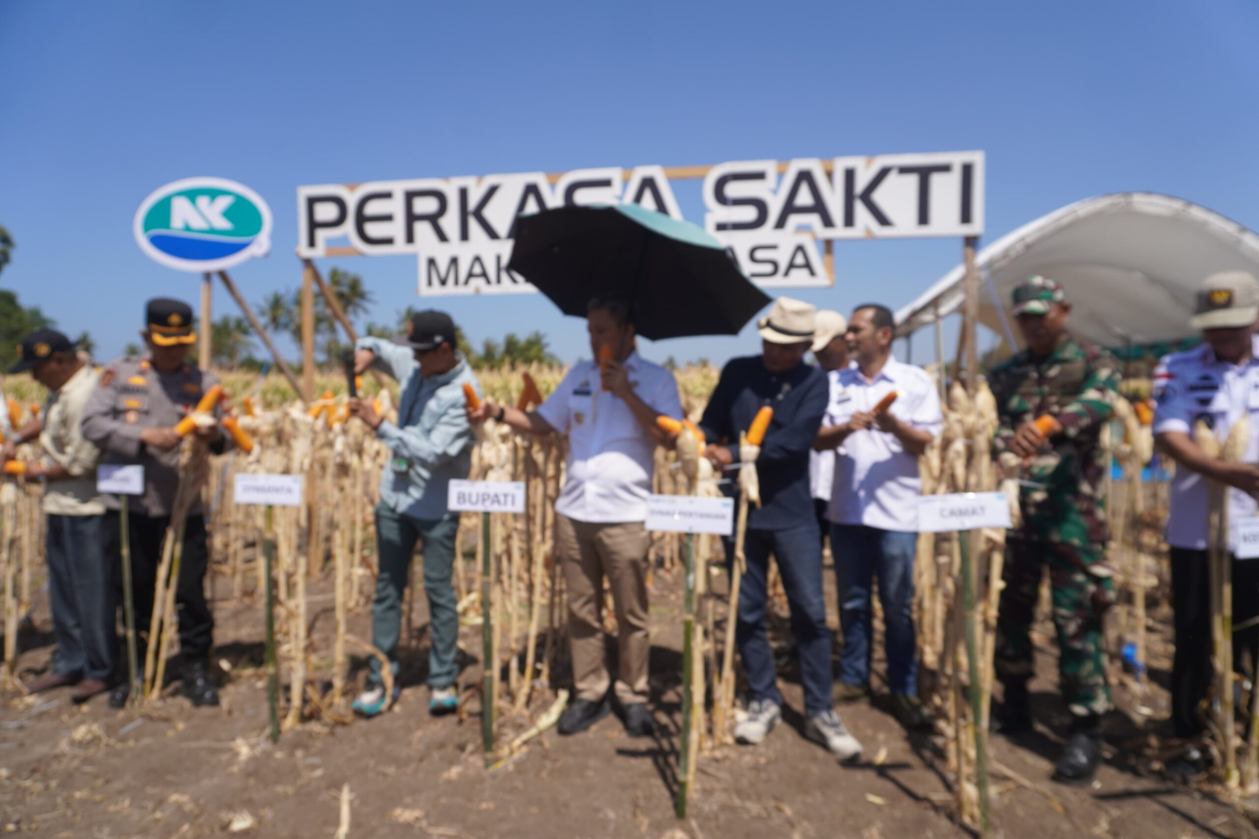 Paris Yasir Dorong Petani Jeneponto Adopsi Benih Biotek