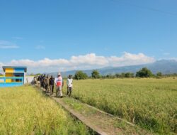 Pertanian Bantaeng Tetap Tumbuh 1,97 Persen di Tengah Tekanan Kemarau