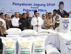 Mentan Amran Tegaskan Bulog Wajib Serap Jagung Petani,